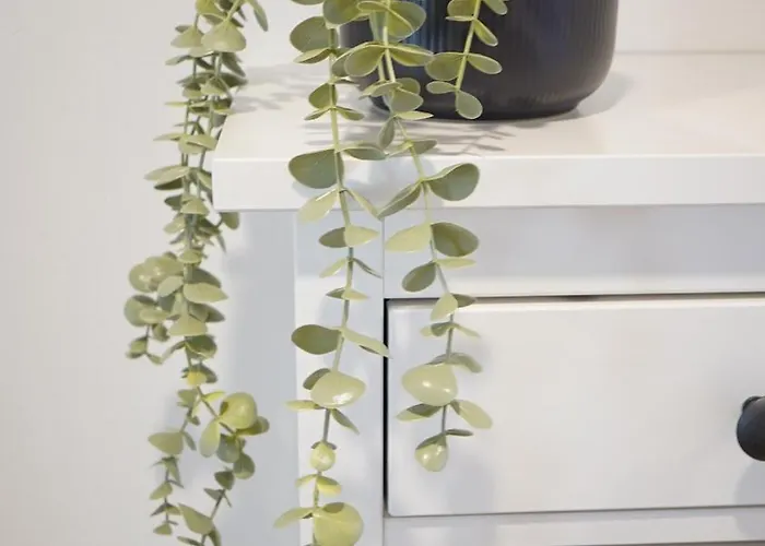 Urban Elegance 1,02 Апартаменты
